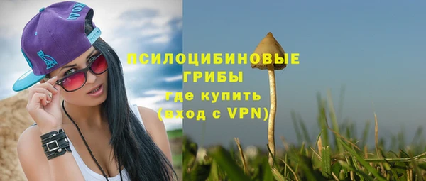 твердый Алексеевка