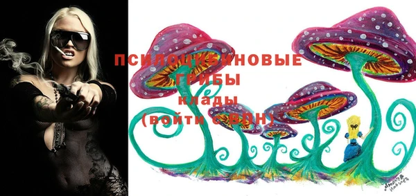 твердый Алексеевка