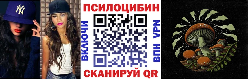 где найти Лобня Псилоцибиновые грибы мицелий